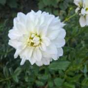 ヒメ日記 2026/01/30 10:44 投稿 栗田きみえ 五十路マダム 岐阜店