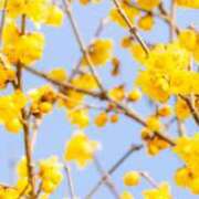 ヒメ日記 2026/02/03 10:30 投稿 栗田きみえ 五十路マダム 岐阜店