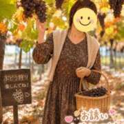 ヒメ日記 2026/09/12 15:42 投稿 栗田きみえ 五十路マダム 岐阜店