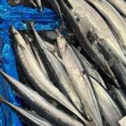 ヒメ日記 2025/08/20 16:50 投稿 みやび 完熟ばなな 上野店