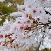 ヒメ日記 2026/04/02 15:46 投稿 みやび 完熟ばなな 上野店