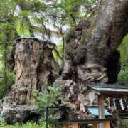 ヒメ日記 2026/04/20 10:46 投稿 みやび 完熟ばなな 上野店