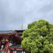 ヒメ日記 2025/06/18 17:27 投稿 茅冬～CHIFUYU～ パラダイス(泉大津)