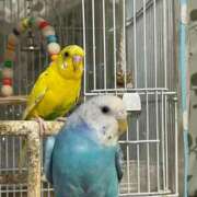 ヒメ日記 2025/06/14 11:46 投稿 桜ゆき 大阪ぽっちゃり妻 谷九店