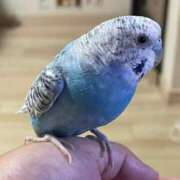 ヒメ日記 2025/06/15 13:59 投稿 桜ゆき 大阪ぽっちゃり妻 谷九店