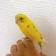 ヒメ日記 2025/06/23 09:52 投稿 桜ゆき 大阪ぽっちゃり妻 谷九店