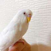 ヒメ日記 2025/07/07 09:43 投稿 桜ゆき 大阪ぽっちゃり妻 谷九店