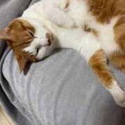 ヒメ日記 2025/07/26 09:42 投稿 桜ゆき 大阪ぽっちゃり妻 谷九店