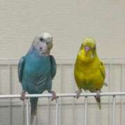 ヒメ日記 2025/07/28 12:05 投稿 桜ゆき 大阪ぽっちゃり妻 谷九店