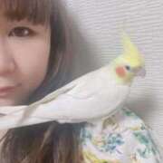 ヒメ日記 2025/08/18 09:42 投稿 桜ゆき 大阪ぽっちゃり妻 谷九店