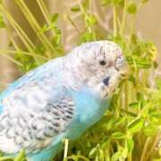 ヒメ日記 2025/09/01 09:47 投稿 桜ゆき 大阪ぽっちゃり妻 谷九店