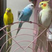 ヒメ日記 2025/09/14 12:01 投稿 桜ゆき 大阪ぽっちゃり妻 谷九店