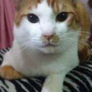 ヒメ日記 2025/10/05 22:58 投稿 桜ゆき 大阪ぽっちゃり妻 谷九店