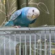 ヒメ日記 2025/11/10 09:55 投稿 桜ゆき 大阪ぽっちゃり妻 谷九店