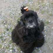 ヒメ日記 2025/12/19 21:06 投稿 桜ゆき 大阪ぽっちゃり妻 谷九店