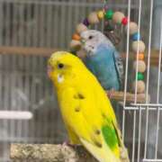 ヒメ日記 2025/12/27 09:45 投稿 桜ゆき 大阪ぽっちゃり妻 谷九店