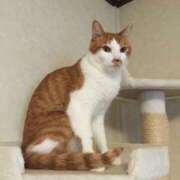 ヒメ日記 2026/01/23 18:32 投稿 桜ゆき 大阪ぽっちゃり妻 谷九店