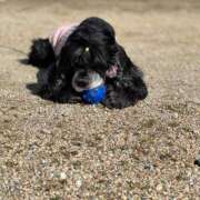 ヒメ日記 2026/01/28 21:56 投稿 桜ゆき 大阪ぽっちゃり妻 谷九店