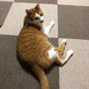 ヒメ日記 2026/01/31 13:41 投稿 桜ゆき 大阪ぽっちゃり妻 谷九店