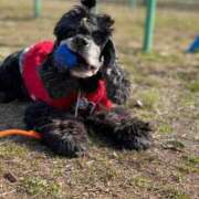 ヒメ日記 2026/02/04 09:44 投稿 桜ゆき 大阪ぽっちゃり妻 谷九店