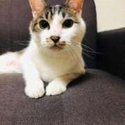 ヒメ日記 2026/02/20 22:13 投稿 桜ゆき 大阪ぽっちゃり妻 谷九店