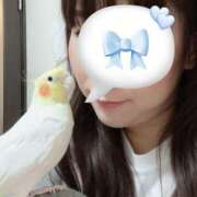 ヒメ日記 2026/08/20 09:43 投稿 桜ゆき 大阪ぽっちゃり妻 谷九店