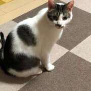 ヒメ日記 2026/08/29 09:41 投稿 桜ゆき 大阪ぽっちゃり妻 谷九店