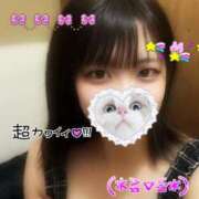 ヒメ日記 2025/05/28 09:20 投稿 たまき SPIN(スピン)