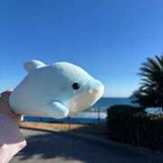 ヒメ日記 2026/01/16 18:50 投稿 たまき SPIN(スピン)