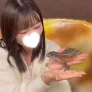 愛原しゅう かわいいｯｯ！🦎💖 ハプニング痴漢電車or全裸入室