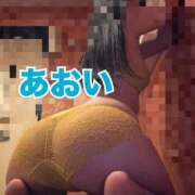 ヒメ日記 2025/12/31 11:00 投稿 あおい しゃんぜりぜ