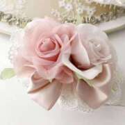 ヒメ日記 2025/06/04 23:25 投稿 早乙女 凛花(サオトメ リンカ) 翡翠の夢