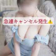 ヒメ日記 2025/07/23 21:25 投稿 早乙女 凛花(サオトメ リンカ) 翡翠の夢