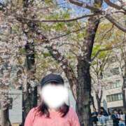 ヒメ日記 2026/03/31 16:08 投稿 乙羽/おとは ANEJE～アネージュ池袋～(ユメオト)