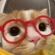 ヒメ日記 2025/06/13 09:26 投稿 りん 東京リップ 渋谷店