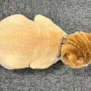 ヒメ日記 2025/09/21 08:32 投稿 りん 東京リップ 渋谷店