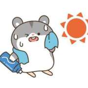 ヒメ日記 2025/06/18 07:21 投稿 あきな 大宮おかあさん