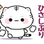 ヒメ日記 2025/09/23 09:06 投稿 あきな 大宮おかあさん