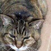 ヒメ日記 2026/02/18 15:46 投稿 あきな 大宮おかあさん