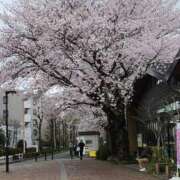 ヒメ日記 2026/04/02 14:46 投稿 あきな 大宮おかあさん