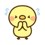 ヒメ日記 2025/06/09 11:07 投稿 内田ゆま Finemotion