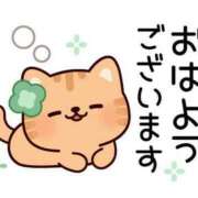 ヒメ日記 2025/05/28 08:18 投稿 あきな 川越おかあさん