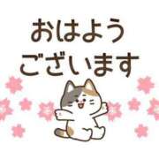 ヒメ日記 2025/06/04 09:18 投稿 あきな 川越おかあさん
