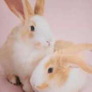 ヒメ日記 2025/11/05 08:48 投稿 あきな 川越おかあさん