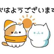 ヒメ日記 2025/11/08 07:58 投稿 あきな 川越おかあさん