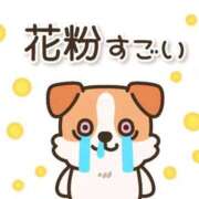 ヒメ日記 2026/02/28 13:09 投稿 あきな 川越おかあさん