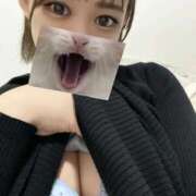 ヒメ日記 2025/11/14 02:11 投稿 ひなた☆未開拓敏感M娘 じゃむじゃむ