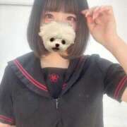 すいむ 初めまして💞💞 黒い金魚（札幌）