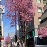 ヒメ日記 2026/03/01 20:43 投稿 みかな サティアンまーと