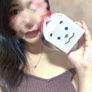 ヒメ日記 2025/08/20 16:45 投稿 みどり Noble